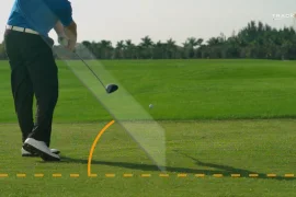 What is Swing Plane?